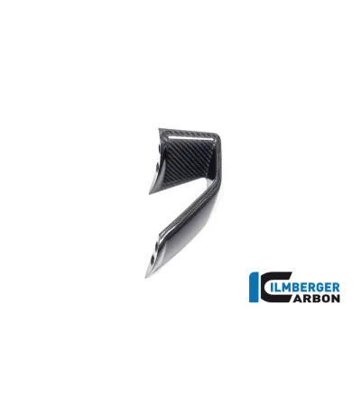Winglet de carénage gauche carbone pour BMW S 1000 R (E5) | Ilmberger Carbon