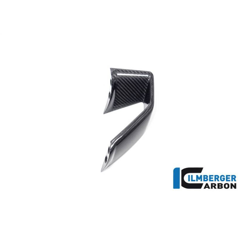Winglet de carénage gauche carbone pour BMW S 1000 R (E5) | Ilmberger Carbon