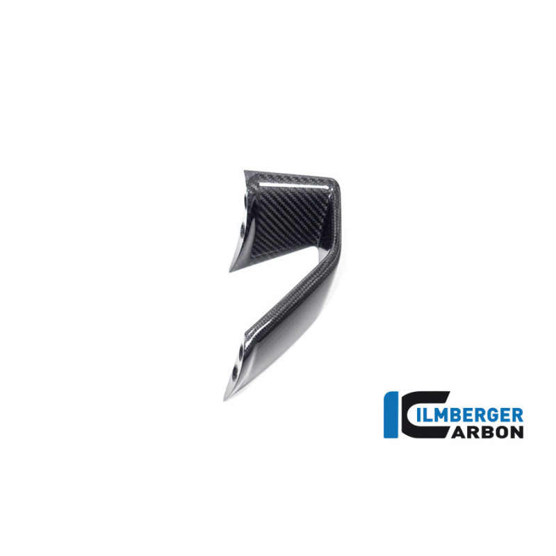 Winglet de carénage gauche carbone pour BMW S 1000 R (E5) | Ilmberger Carbon