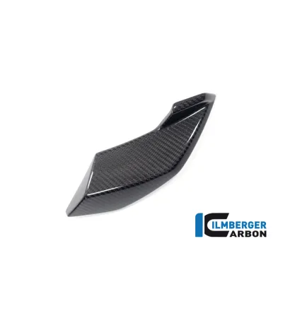 Cache latéral de phare gauche carbone pour BMW S 1000 R | Ilmberger Carbon