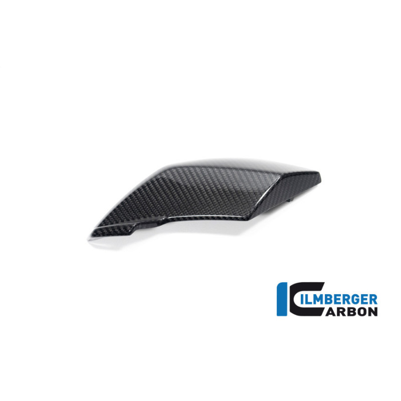 Cache latéral de phare gauche carbone pour S 1000 R & M 1000 R