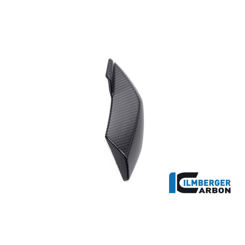 Cache latéral de phare gauche carbone pour BMW S 1000 R | Ilmberger Carbon