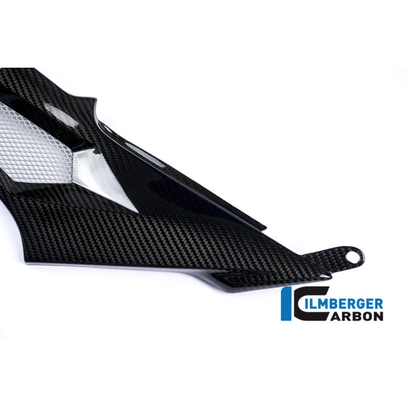 Cache latéral de réservoir gauche carbone pour BMW S 1000 R (E4) | Ilmberger Carbon