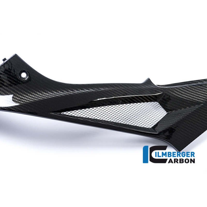 Cache latéral de réservoir gauche carbone pour BMW S 1000 R (E4) | Ilmberger Carbon