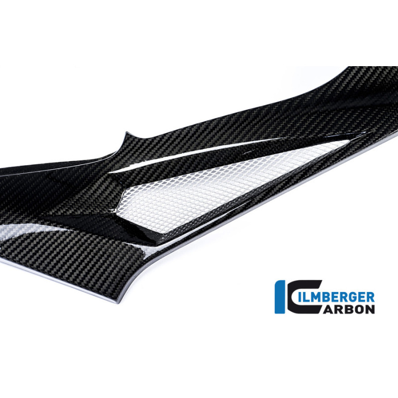 Cache latéral de réservoir droit carbone pour BMW S 1000 R (E4) | Ilmberger Carbon