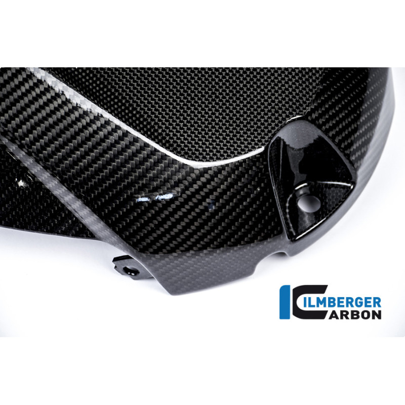 Dessus de réservoir carbone pour BMW S 1000 R (E4) | Ilmberger Carbon