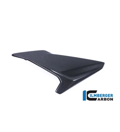 Flanc de carénage gauche carbone pour BMW S 1000 R (E4) | Ilmberger Carbon
