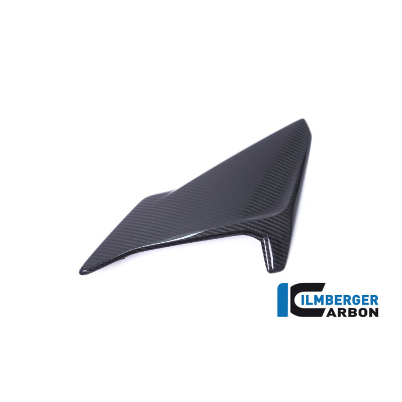 Flanc de carénage gauche carbone pour BMW S 1000 R (E4) | Ilmberger Carbon