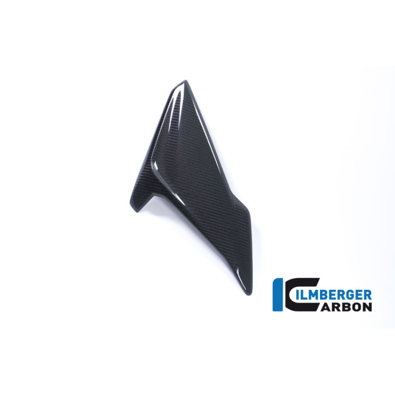 Flanc de carénage droit carbone pour BMW S 1000 R (E4) | Ilmberger Carbon