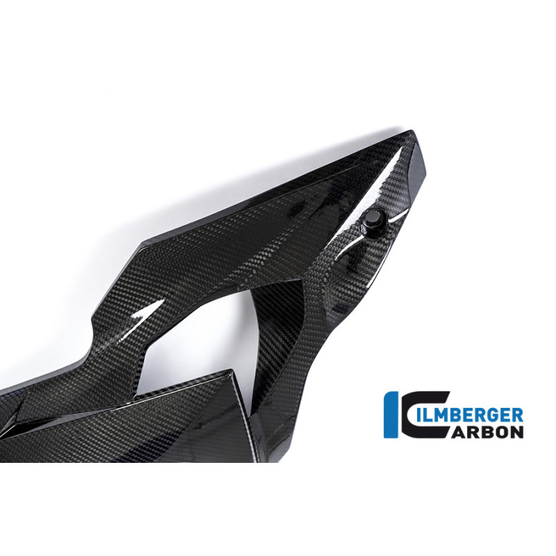 Flanc de carénage gauche carbone pour BMW S 1000 R (E3) | Ilmberger Carbon