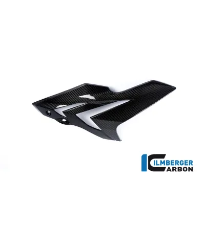 Flanc de carénage droit carbone pour BMW S 1000 R (E3) | Ilmberger Carbon