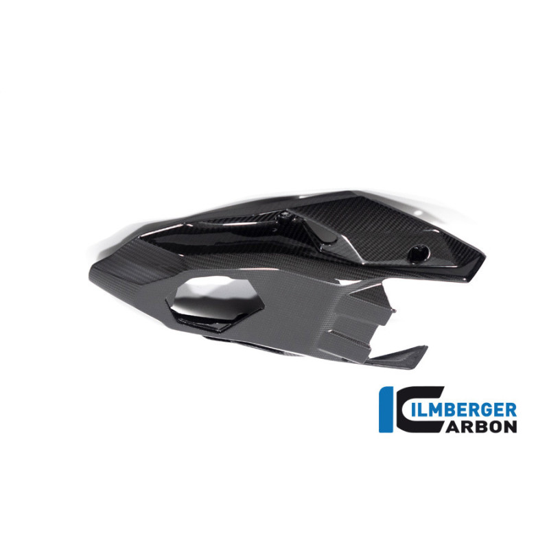 Cache inférieur de boucle arrière carbone pour BMW S 1000 R (E5+) | Ilmberger Carbon