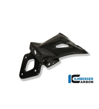 Support de plaque carbone pour BMW S 1000 R (E4) | Ilmberger Carbon