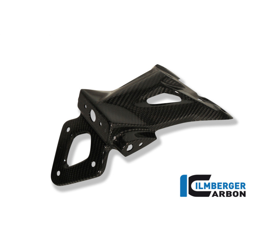 Support de plaque carbone pour BMW S 1000 R (E4) | Ilmberger Carbon