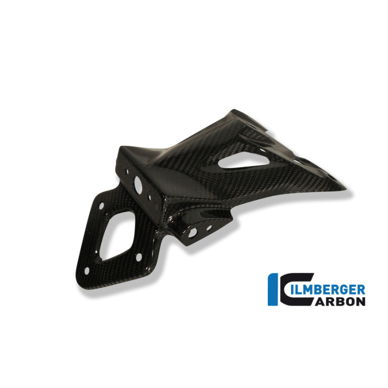 Support de plaque carbone pour BMW S 1000 R (E4) | Ilmberger Carbon
