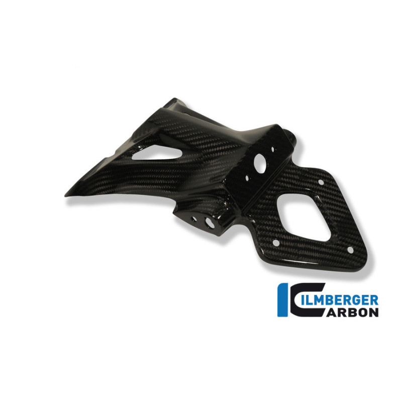 Support de plaque carbone pour BMW S 1000 R (E4) | Ilmberger Carbon