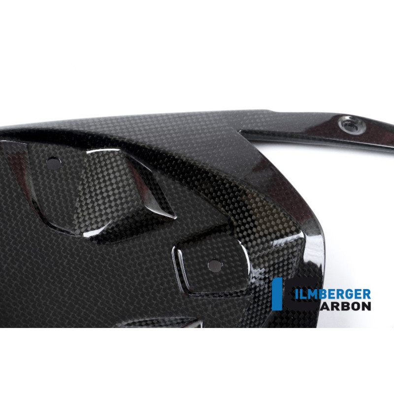 Cache inférieur de boucle arrière carbone pour BMW S 1000 R (E4) | Ilmberger Carbon