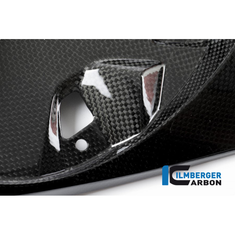Cache inférieur de boucle arrière carbone pour BMW S 1000 R (E4) | Ilmberger Carbon