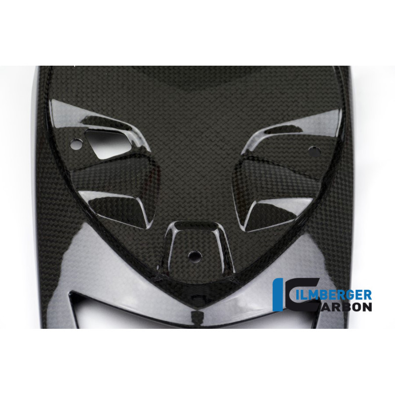 Cache inférieur de boucle arrière carbone pour BMW S 1000 R (E4) | Ilmberger Carbon