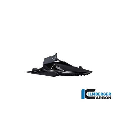 Coque arrière gauche carbone pour BMW S 1000 R | Ilmberger Carbon