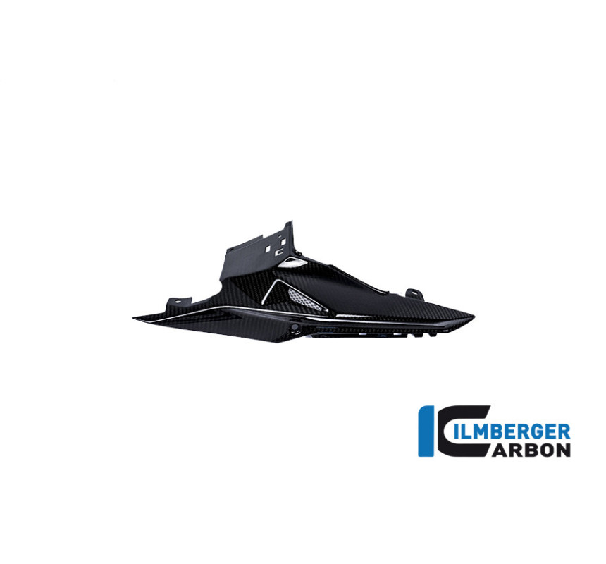Coque arrière gauche carbone pour BMW S 1000 R | Ilmberger Carbon