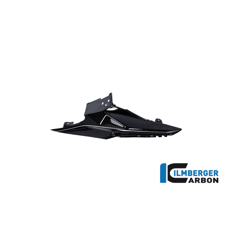 Coque arrière gauche carbone pour BMW S 1000 R | Ilmberger Carbon