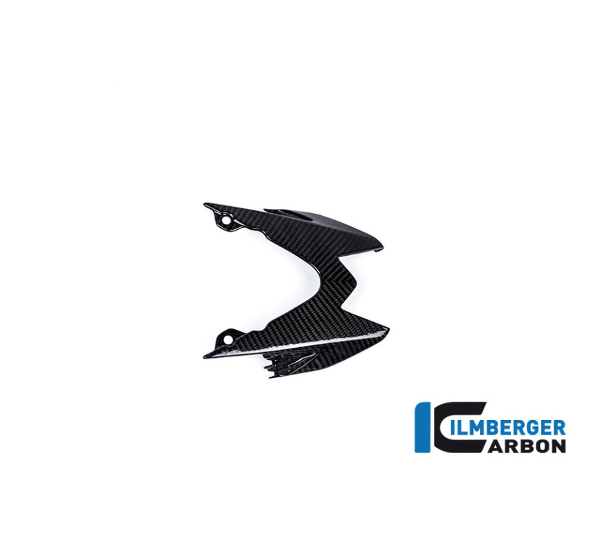 Coque arrière supérieure carbone pour BMW S 1000 R | Ilmberger Carbon