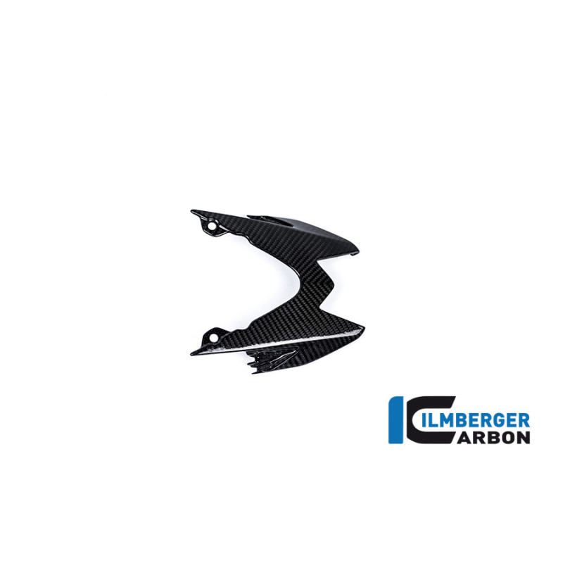 Coque arrière supérieure carbone pour BMW S 1000 R | Ilmberger Carbon