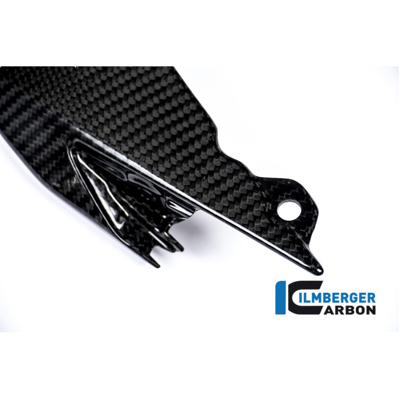 Coque arrière supérieure carbone pour BMW S 1000 R | Ilmberger Carbon