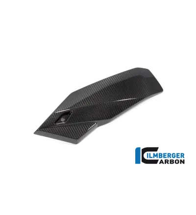 Sabot moteur partie gauche carbone pour BMW S 1000 R | Ilmberger Carbon