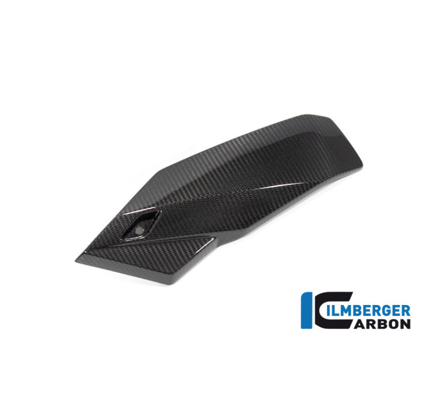 Sabot moteur partie gauche carbone pour BMW S 1000 R | Ilmberger Carbon