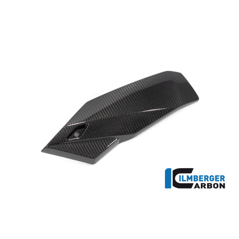 Sabot moteur partie gauche carbone pour BMW S 1000 R | Ilmberger Carbon