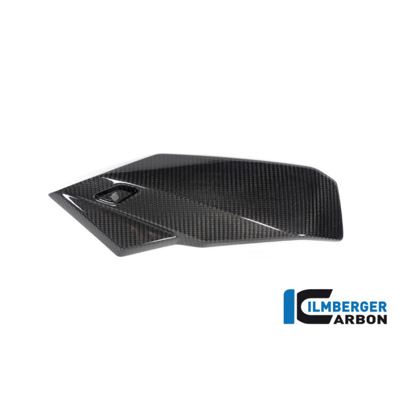 Sabot moteur partie gauche carbone pour BMW S 1000 R | Ilmberger Carbon