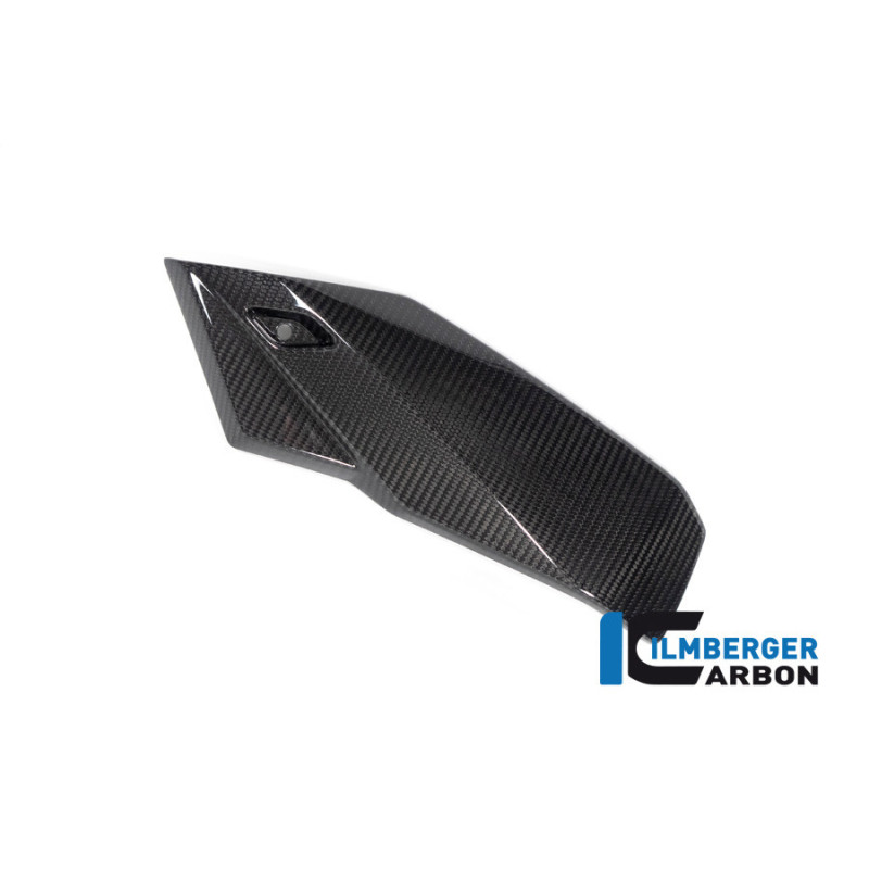 Sabot moteur partie gauche carbone pour BMW S 1000 R | Ilmberger Carbon
