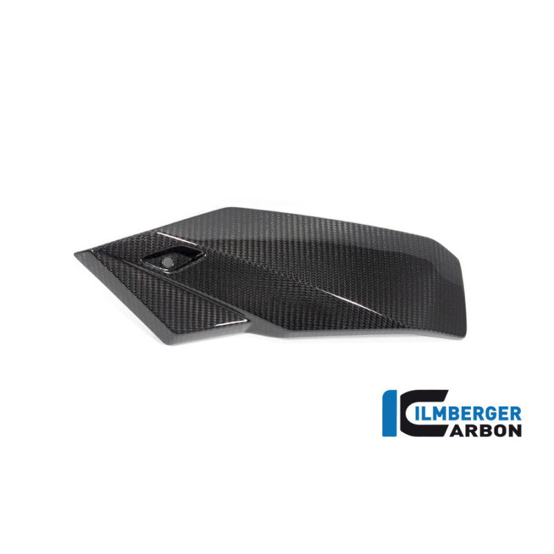 Sabot moteur partie gauche carbone pour BMW S 1000 R | Ilmberger Carbon