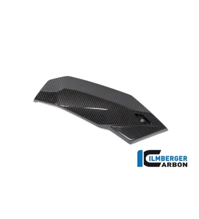 Sabot moteur partie droite carbone pour BMW S 1000 R | Ilmberger Carbon
