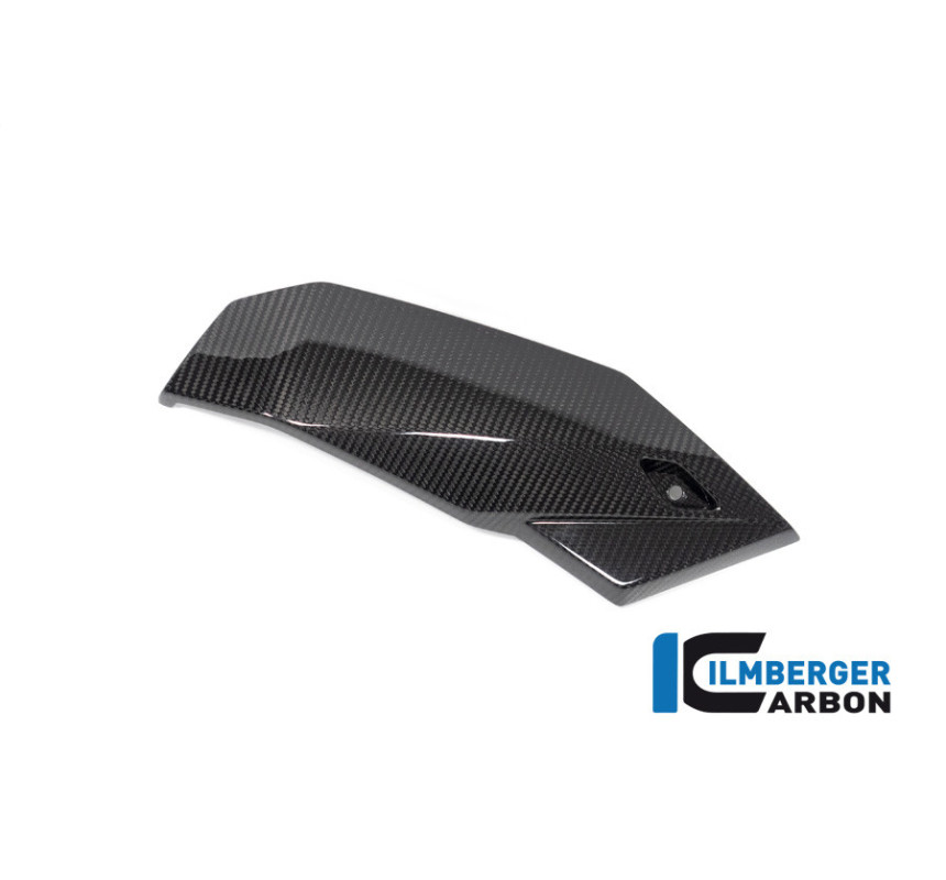 Sabot moteur partie droite carbone pour BMW S 1000 R | Ilmberger Carbon