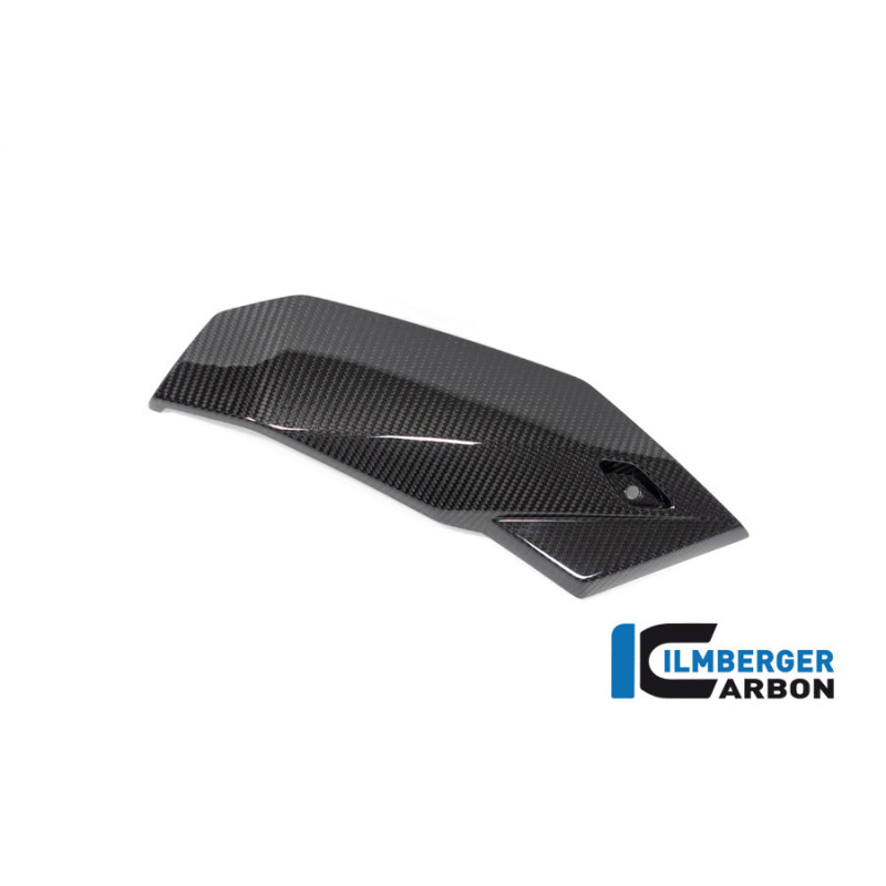 Sabot moteur partie droite carbone pour BMW S 1000 R | Ilmberger Carbon