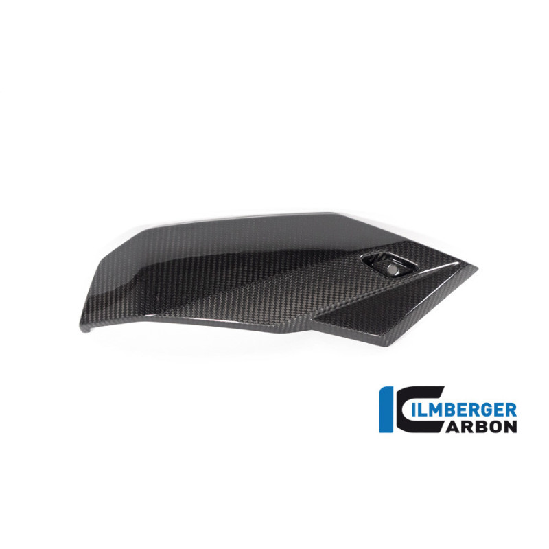 Sabot moteur partie droite carbone pour BMW S 1000 R | Ilmberger Carbon