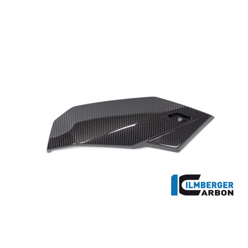 Sabot moteur partie droite carbone pour BMW S 1000 R | Ilmberger Carbon