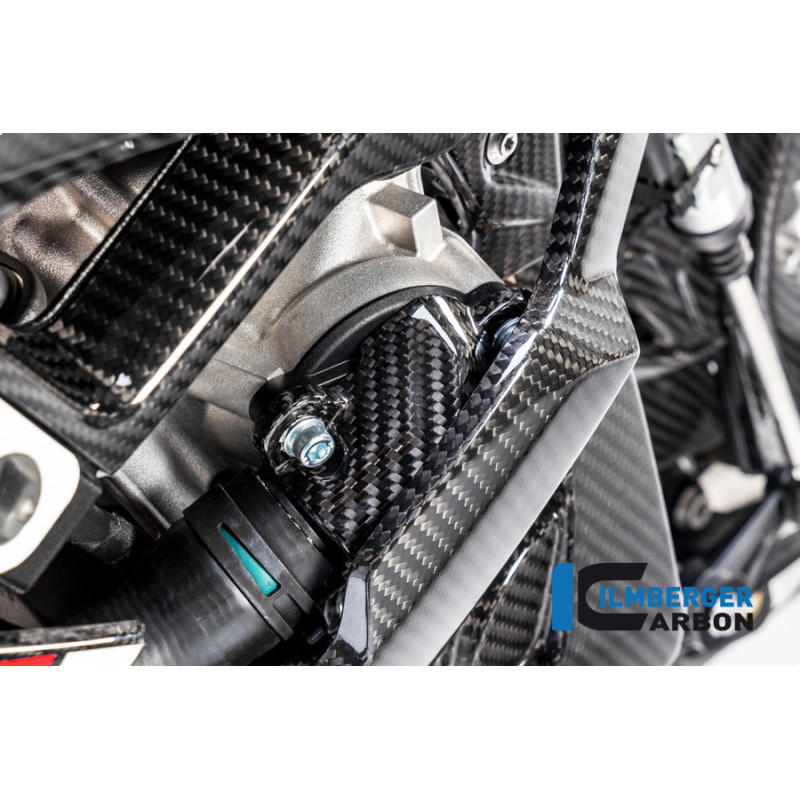 Cache de pompe à eau carbone pour BMW S 1000 R | Ilmberger Carbon