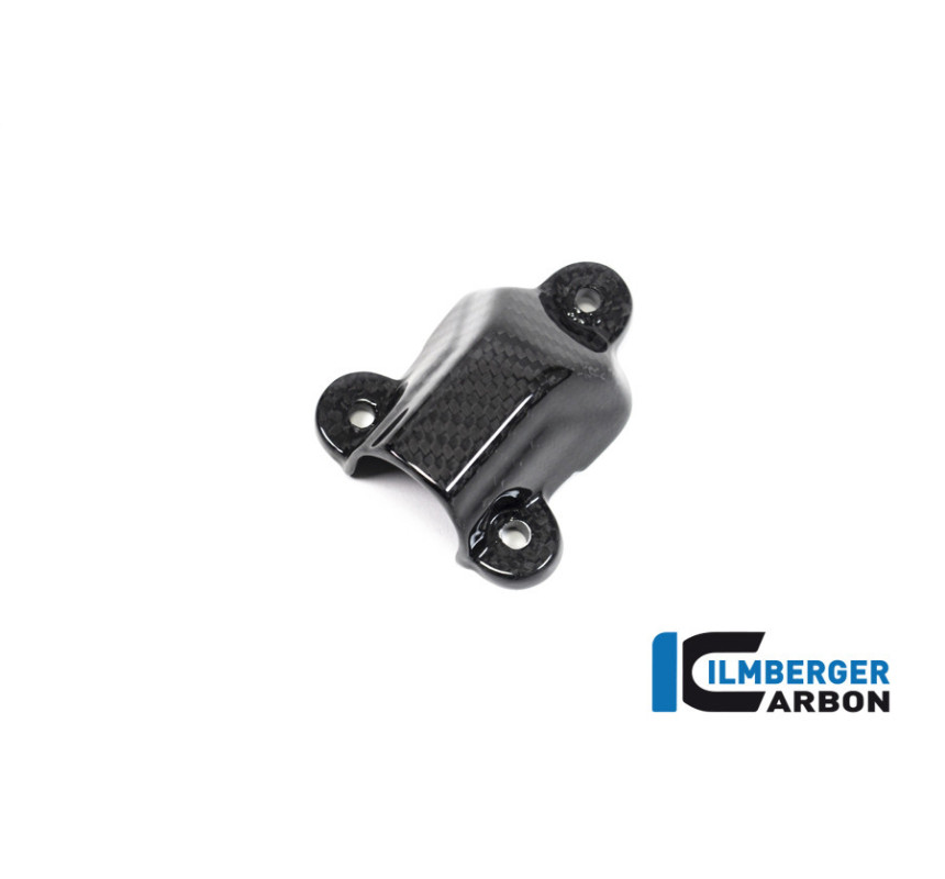 Cache de pompe à eau carbone pour BMW S 1000 R | Ilmberger Carbon