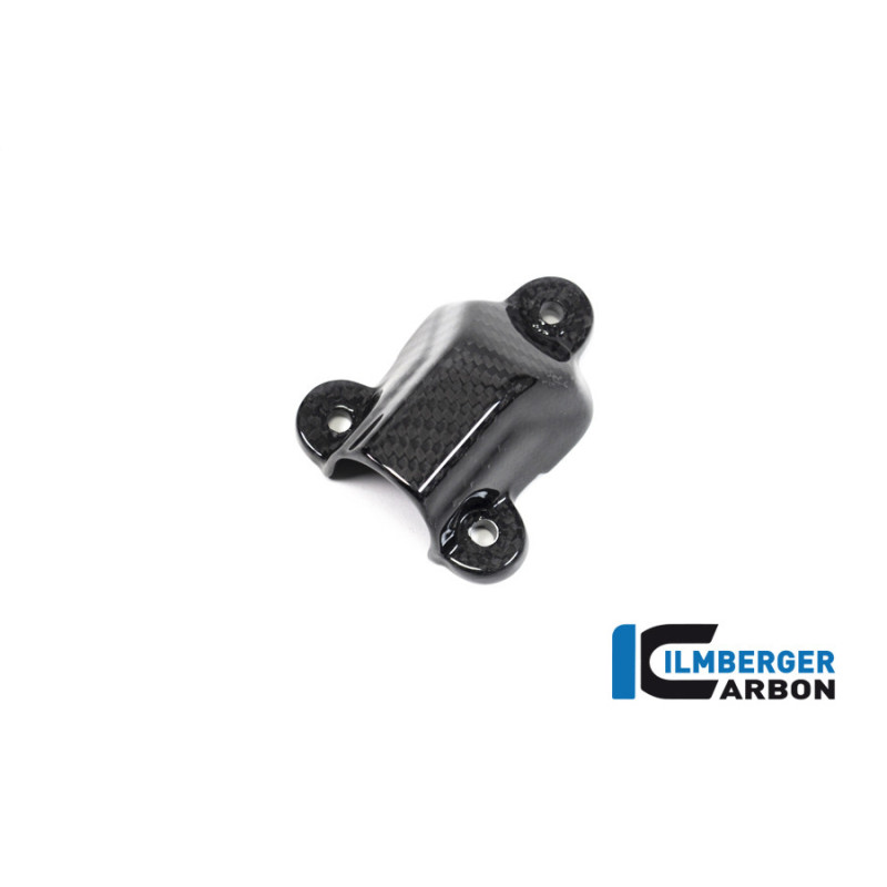 Cache de pompe à eau carbone pour BMW S 1000 R | Ilmberger Carbon