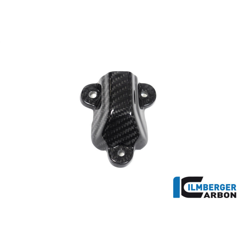 Cache de pompe à eau carbone pour BMW S 1000 R | Ilmberger Carbon