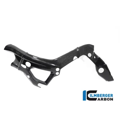 Cache de cadre gauche carbone pour BMW S 1000 R (E5+) | Ilmberger Carbon