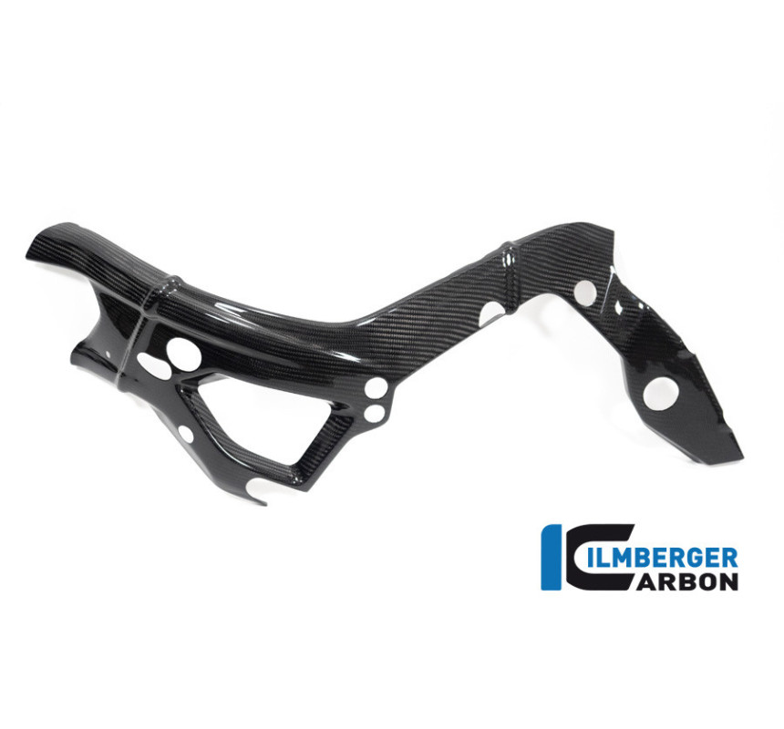 Cache de cadre gauche carbone pour BMW S 1000 R (E5+) | Ilmberger Carbon