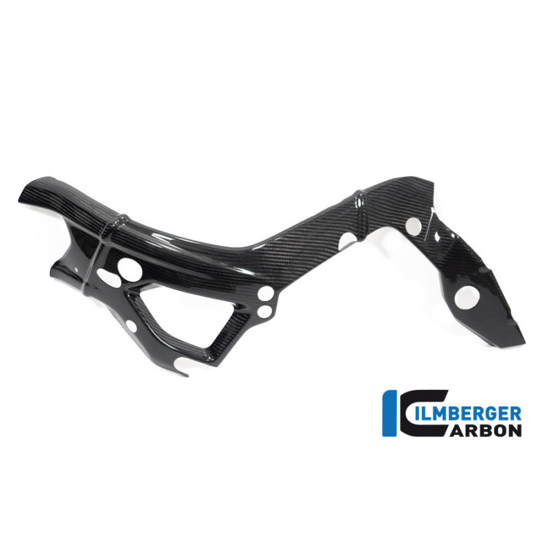 Cache de cadre gauche carbone pour BMW S 1000 R (E5+) | Ilmberger Carbon