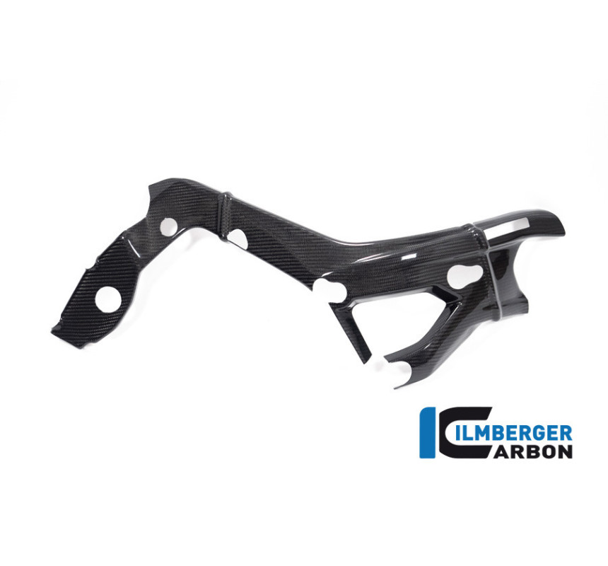 Cache de cadre droit carbone pour BMW S 1000 R (E5+) | Ilmberger Carbon
