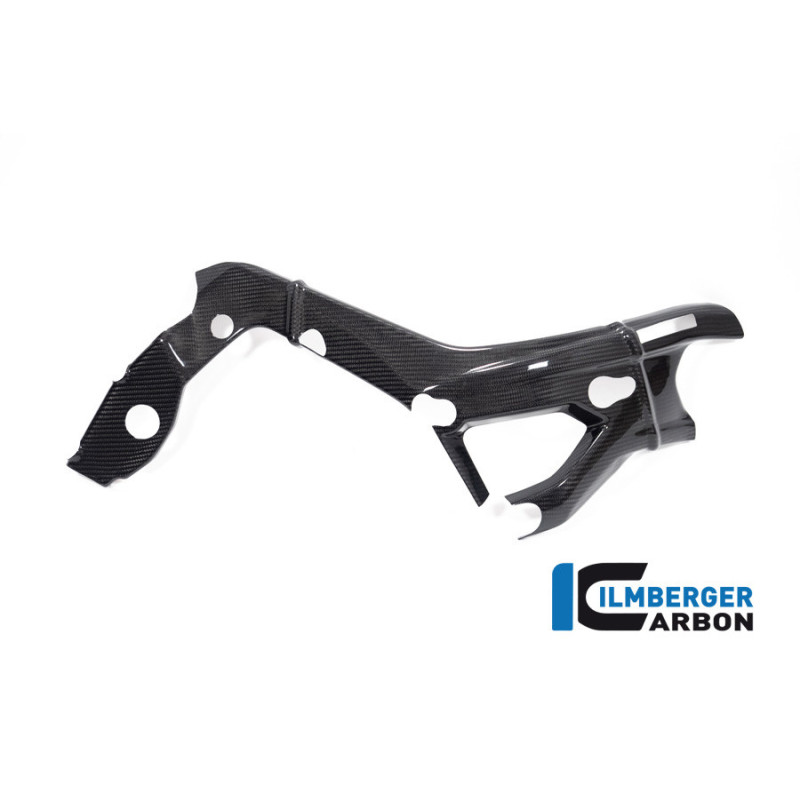 Cache de cadre droit carbone pour BMW S 1000 R (E5+) | Ilmberger Carbon