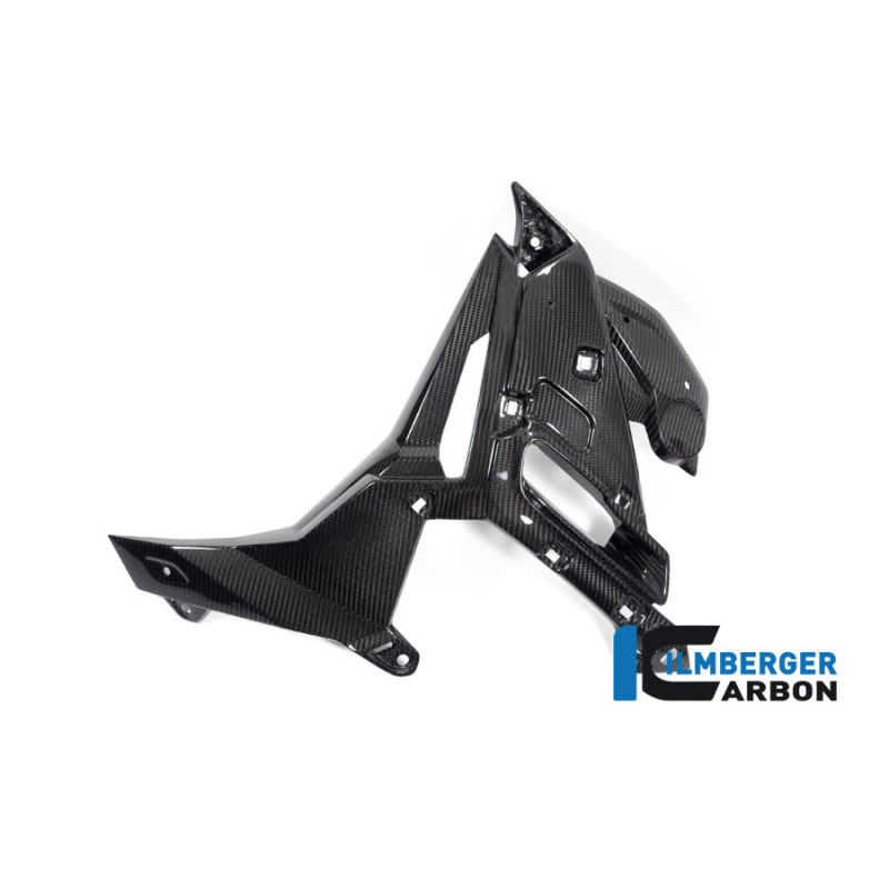 Habillage de radiateur gauche carbone pour BMW S 1000 R (E5+) | Ilmberger Carbon